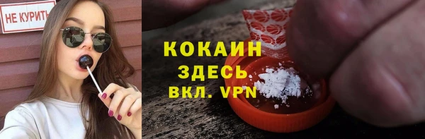 ГАЛЛЮЦИНОГЕННЫЕ ГРИБЫ Баксан