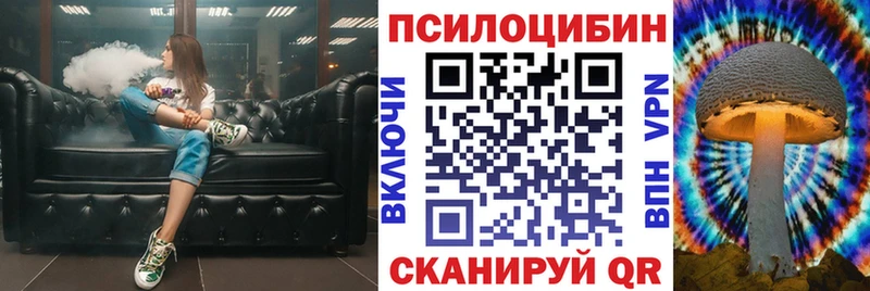 Псилоцибиновые грибы Psilocybine cubensis  Бахчисарай 